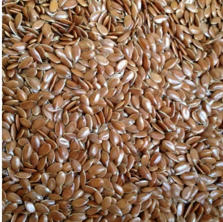 Насіння льону на продаж - фото № 1