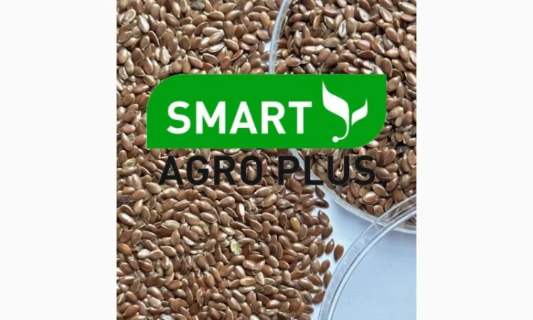 Насіння льону на продаж - фото № 2