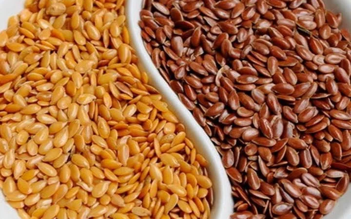 Лен масличный - фото № 1