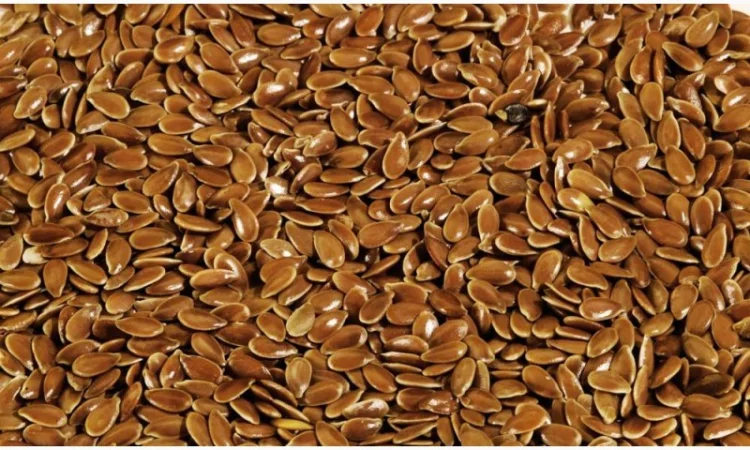 Закуповуємо льон коричневий та золотистий - фото № 1