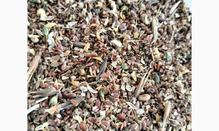 Продам відходи льону 2620 кг - фото № 3