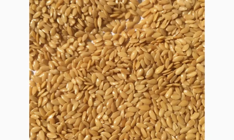 Продам семена льна масличного белый, золотой, коричневый - фото № 1