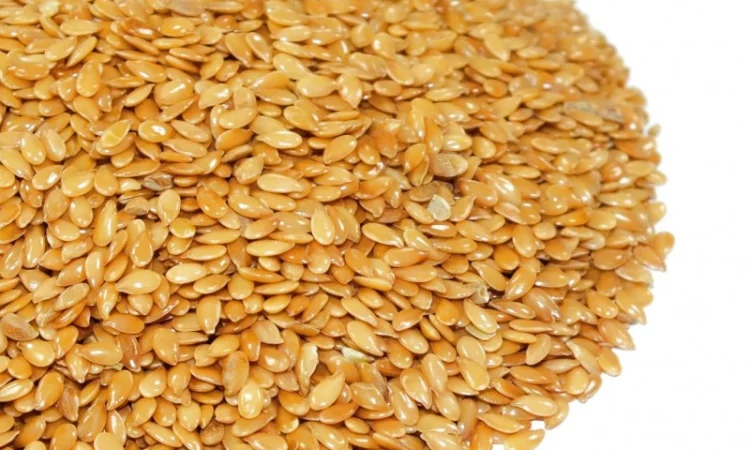 Лен золотистый кондитерский - фото № 1