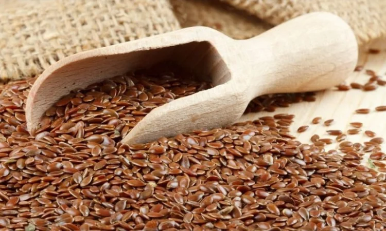 Льон_насіння - фото № 1