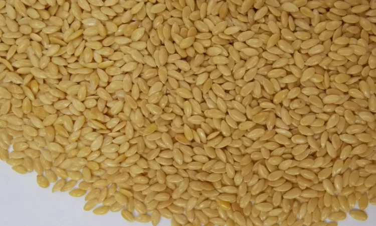 Куплю лен золотистый и коричневый - фото № 1