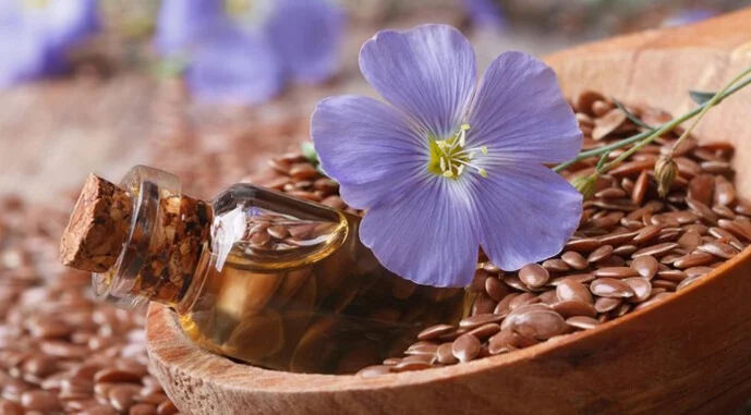 Пропонуємо на продаж насіння коричневого льону сорт Аквамарин - фото № 1