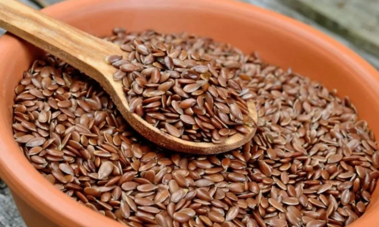 Haсiння Льoну. Нopмa висiву 30 кг / гa - фото № 1