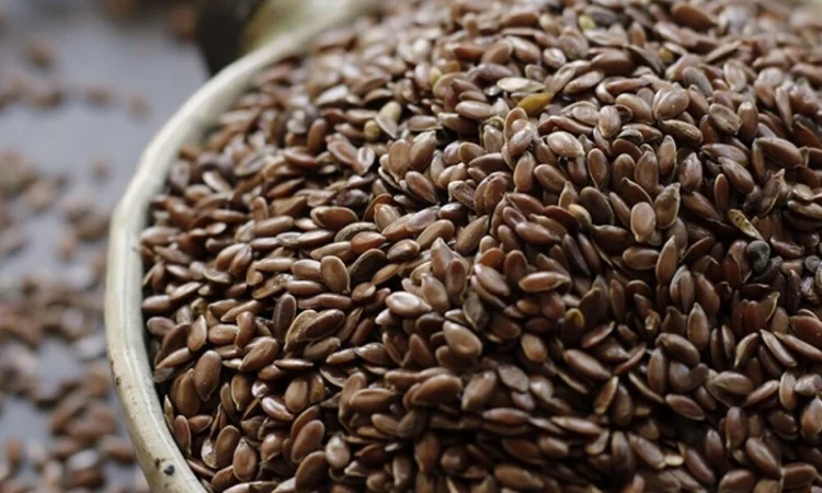 Закуповуєм насіння льону / Скупаем семена льна - фото № 1