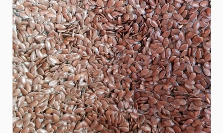 Купуємо льон дорого - фото № 2