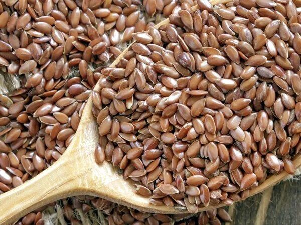 Куплю насіння льону - фото № 1