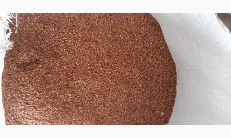 Продам Льон - фото № 1