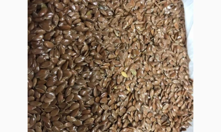 Покупаю лен коричневый и золотистый ф1/ф2 - фото № 1