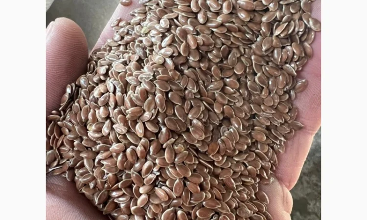 Льон коричн, золотистий - фото № 1