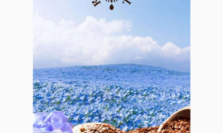 Купуємо Льон На постійній основі - фото № 1