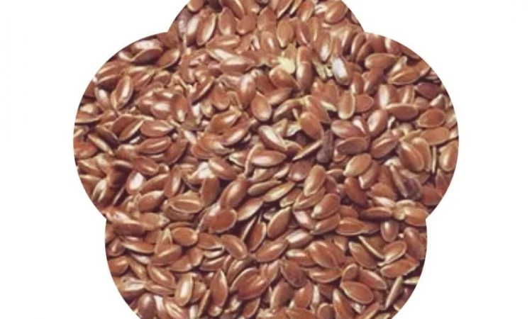 Куплю ЛЕН ! дорого - фото № 1