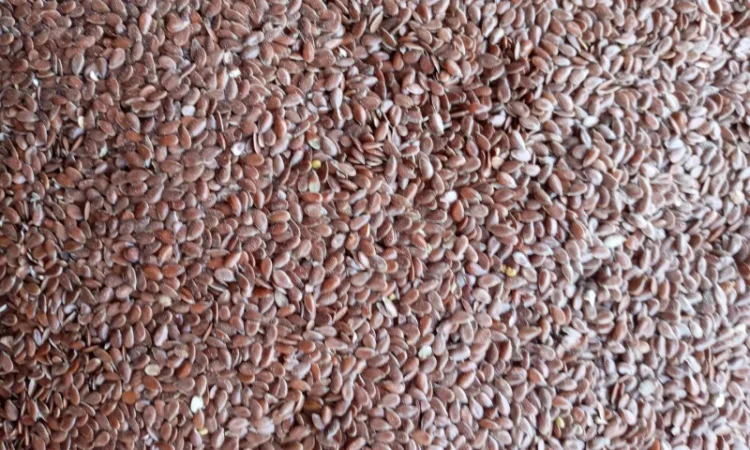 Продам Лен - фото № 1