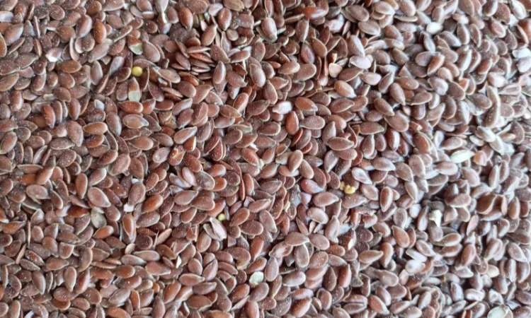 Продам Лен - фото № 2