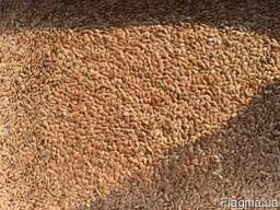 Лен 99, 9% - фото № 1