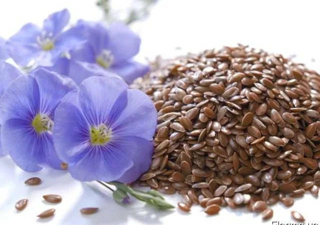 Семена льна "Версаль", "Южная ночь", "Золотистый" - фото № 1