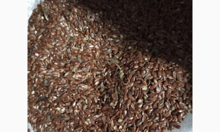 Продам льон технічний - фото № 1