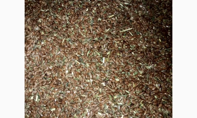 Продам льон технічний - фото № 2