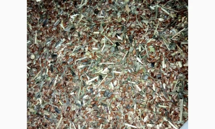 Продам льон технічний - фото № 3