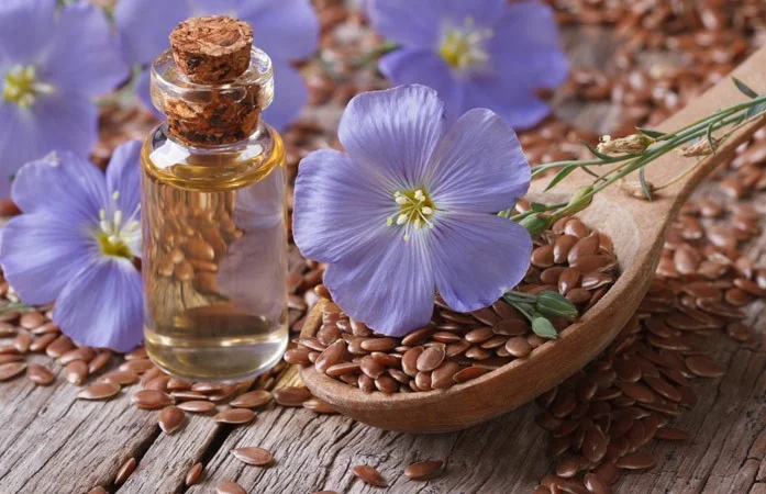 Куплю насіння льону на переробку - фото № 1