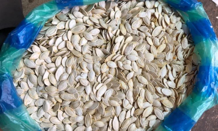 Куплю тыквенные семечки - фото № 4