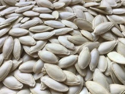 Семечка тыквы - фото № 1