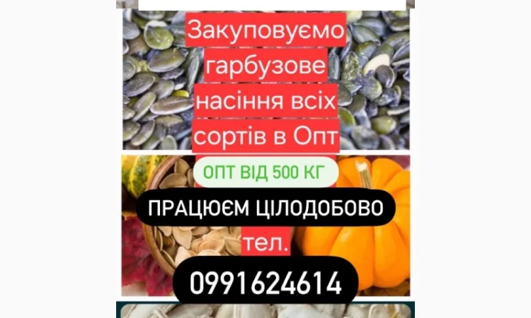 Куплю насіння гарбуза - фото № 1