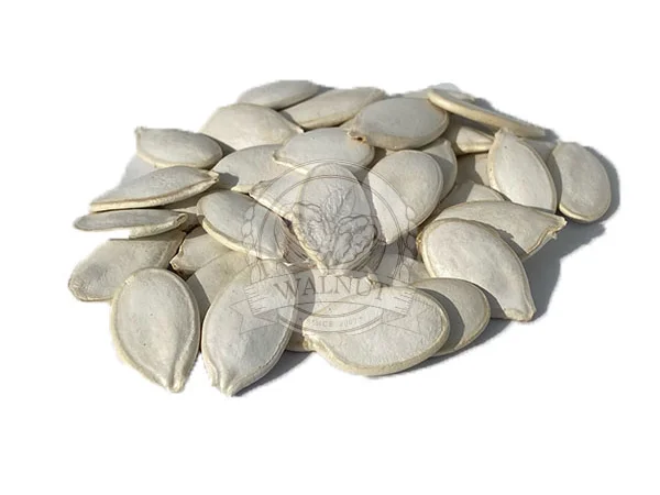 Закупаємо по всій Україні, насіння гарбузове різних сортів - фото № 1