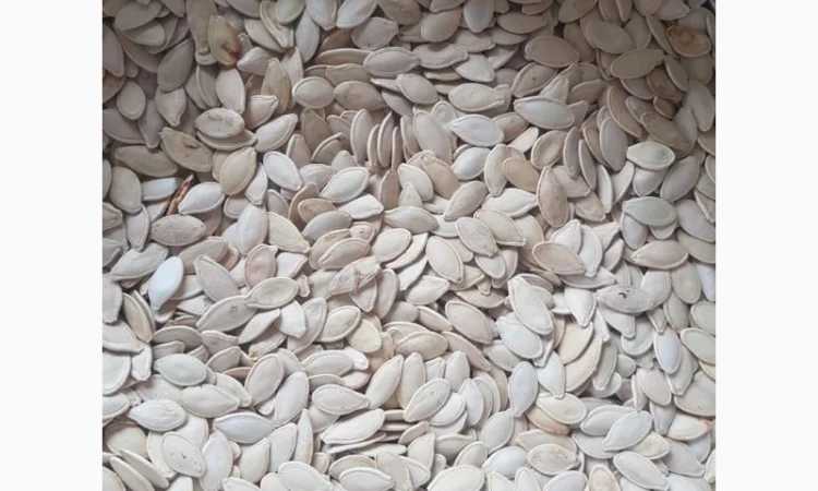 Продам украинку Семочку отход - фото № 1