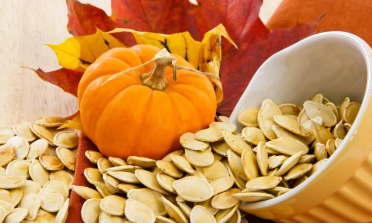 Куплю семена тыквы украинской многоплодной - фото № 1