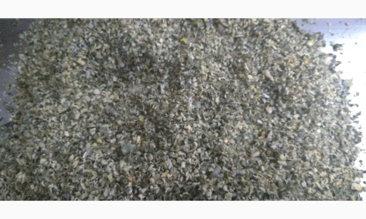 Продам тыквенные семечки молотые - фото № 2