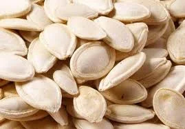 Закуповуємо гарбузове насіння на постійній основі - фото № 1