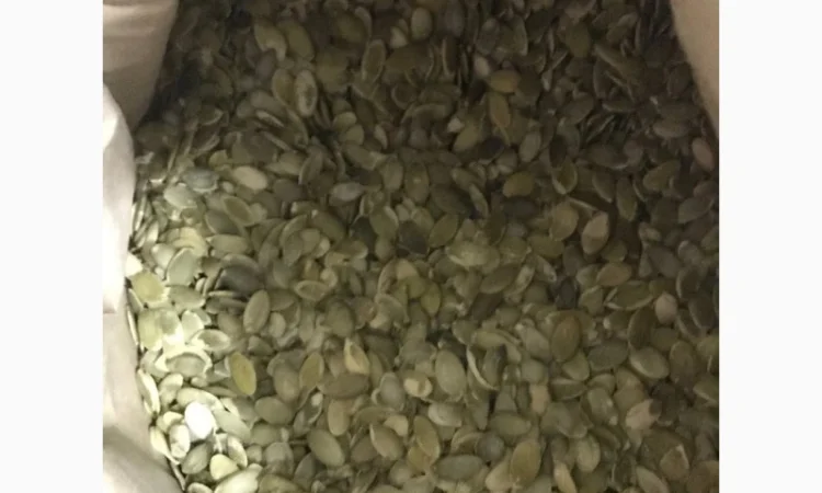 Продам чищене гарбузове насіння - фото № 1