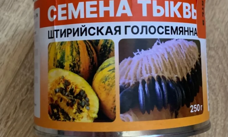 Продам семена тыквы голосемянной Штирийской - фото № 1
