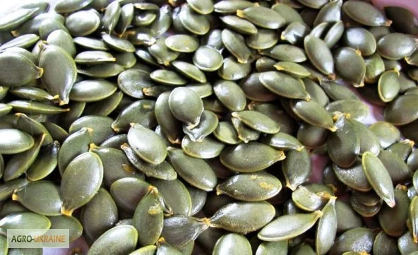 Срочно куплю голосемянку.Сушеные фрукты.Шиповник - фото № 1