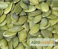 Срочно куплю голосемянку.Сушеные фрукты.Шиповник - фото № 2