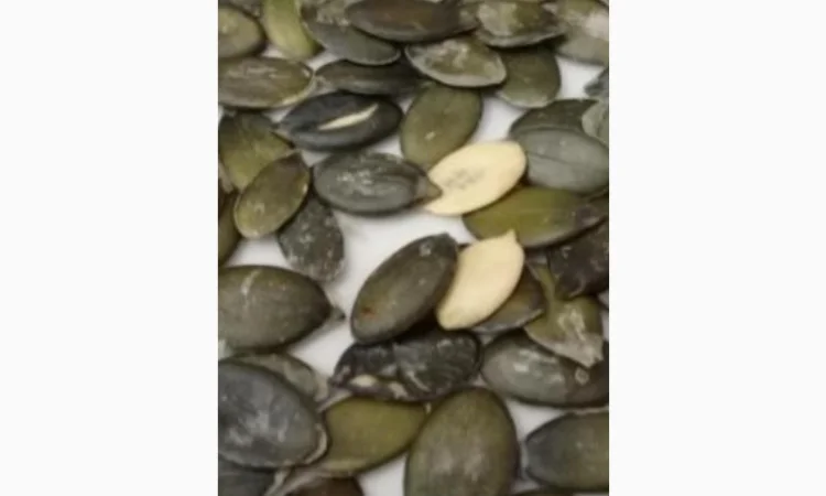 ЗАКУПАЕМ по Украине голсемяннуя семечку тыквы - фото № 1