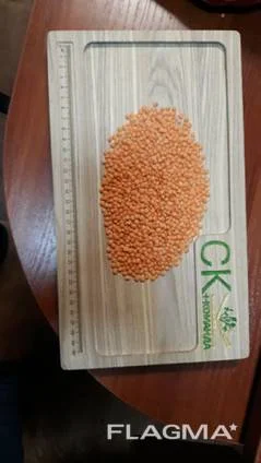 Куплю на переробку - льон коричневий, коріандр, гірчицю - жовту/білу, сочевицю - фото № 2