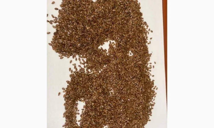 Переробка - Кропивницький - купуємо насіння та олії - фото № 1