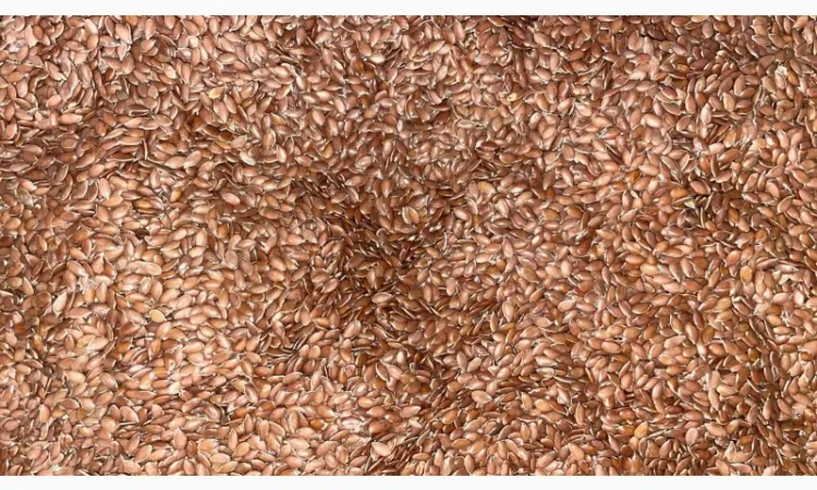 Переробка - Кропивницький - купуємо насіння та олії - фото № 2