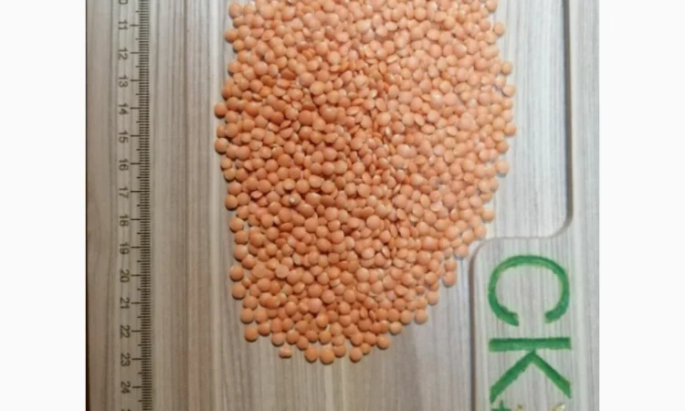 Переробка - Кропивницький - купуємо насіння та олії - фото № 5