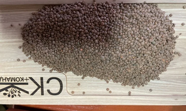 Продається льон коричневий та золотий база - фото № 10