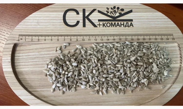 Продається льон коричневий та золотий база - фото № 14