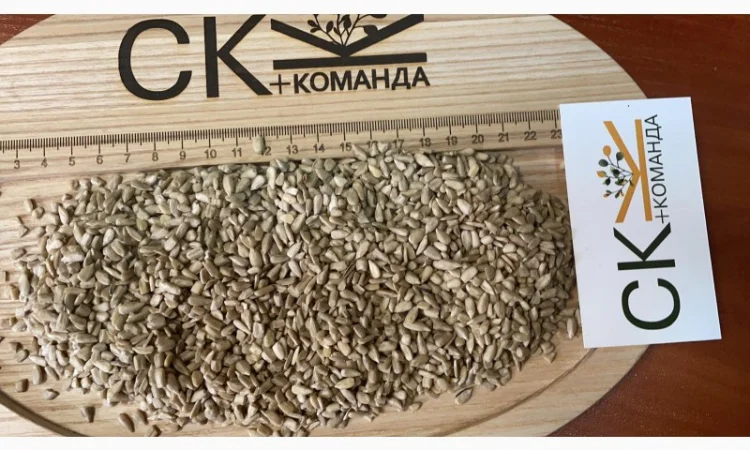 Продається льон коричневий та золотий база - фото № 15