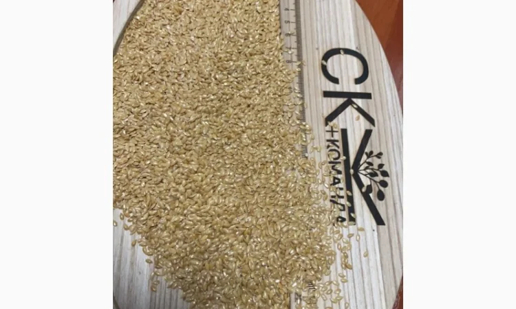 Продається льон коричневий та золотий база - фото № 2