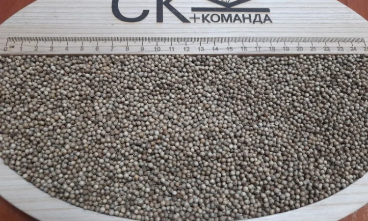 Продається льон коричневий та золотий база - фото № 8