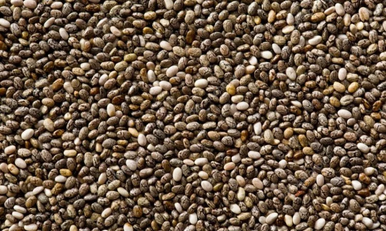 Семена чиа из Аргентины - фото № 1